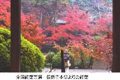 イベント画像