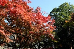 イベント画像