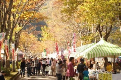 イベント画像