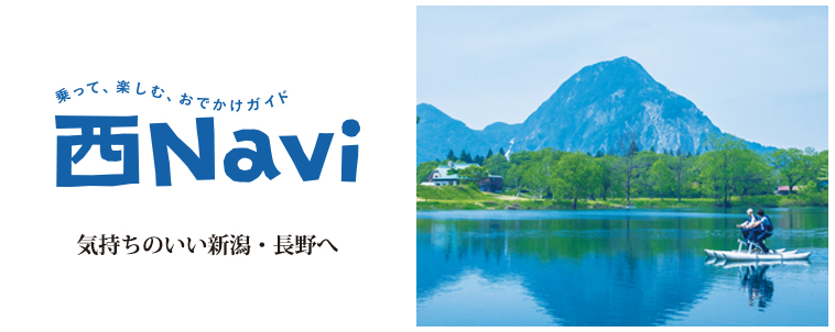 西NAVI